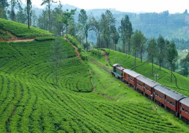 train-from-kandy-to-the-tea-country-kandy-sri-lanka-1024x768